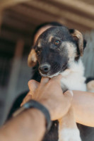 /album/260/whatsapp-image-2026-03-11-at-21-00-41-1-jpeg/